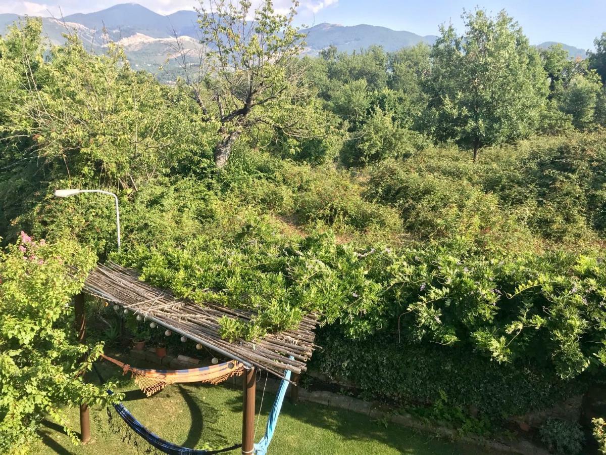 B&B Da Peppe Rotonda Zewnętrze zdjęcie